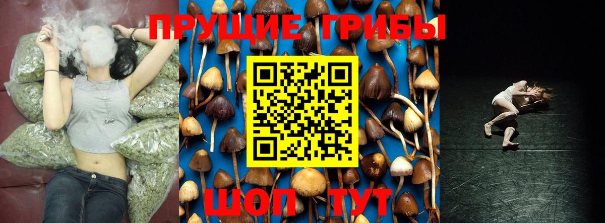 Галлюциногенные грибы Psilocybine cubensis  Вход с VPN  Рыбинск 